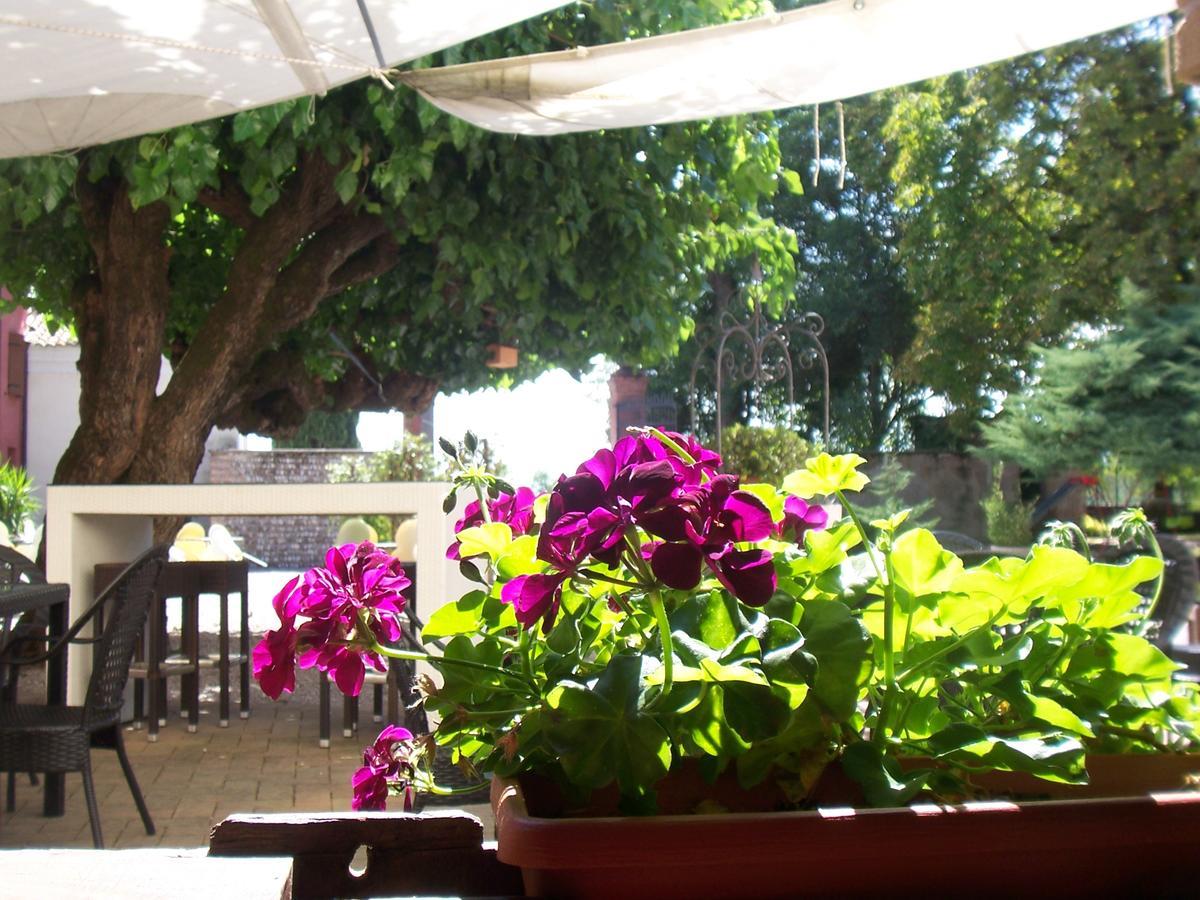 קודרויפו Agriturismo Al Casale מראה חיצוני תמונה