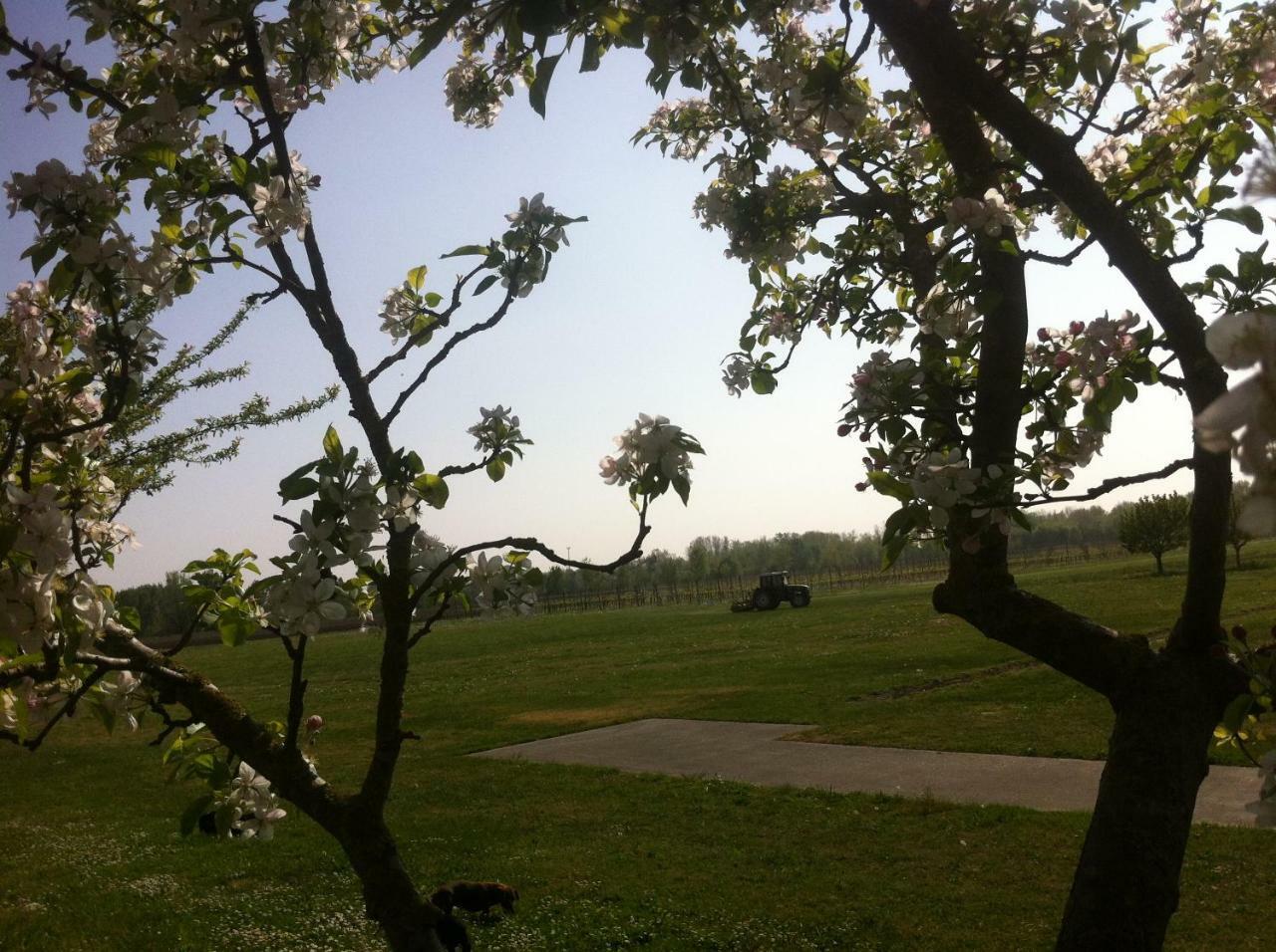 קודרויפו Agriturismo Al Casale מראה חיצוני תמונה